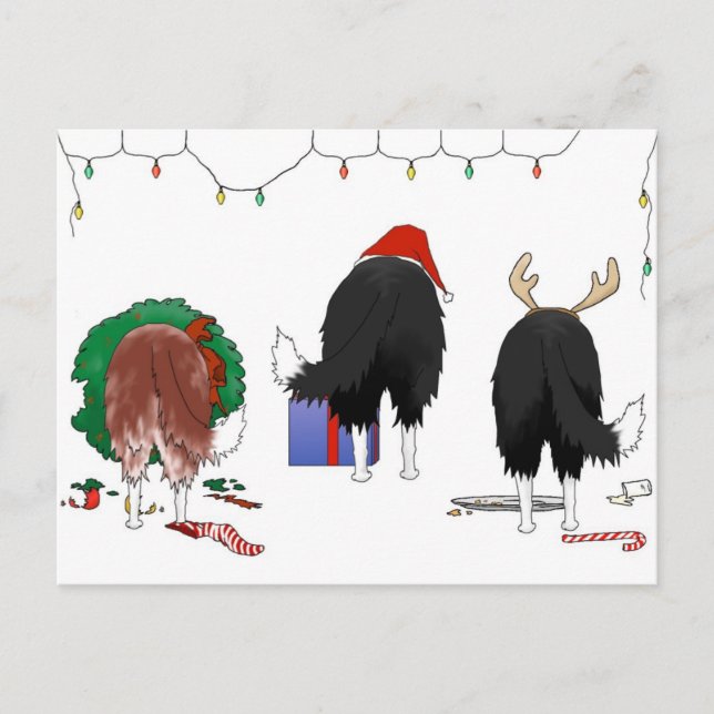 Cartes Pour Fêtes Annuelles Nothin' but A Border Collie Christmas (Devant)