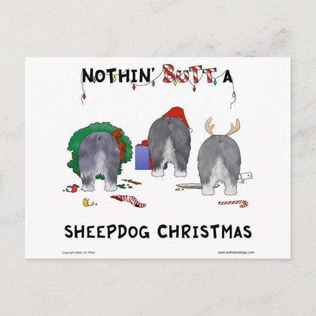 Cartes Pour Fêtes Annuelles Nothin' but A Sheepdog Christmas (Devant)