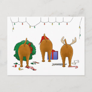 Cartes Pour Fêtes Annuelles Nothin' Butt An Irish Terrier Christmas