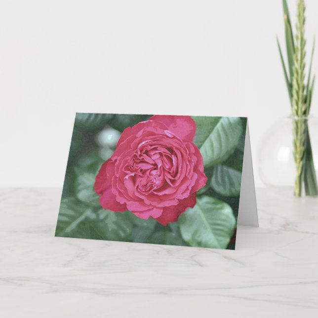 Cartes Pour Fêtes Annuelles Nous guérissons ensemble pendant que nous aimons (Devant)