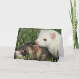 Cartes Pour Fêtes Annuelles Nous sommes des amis. Furets amis endormis