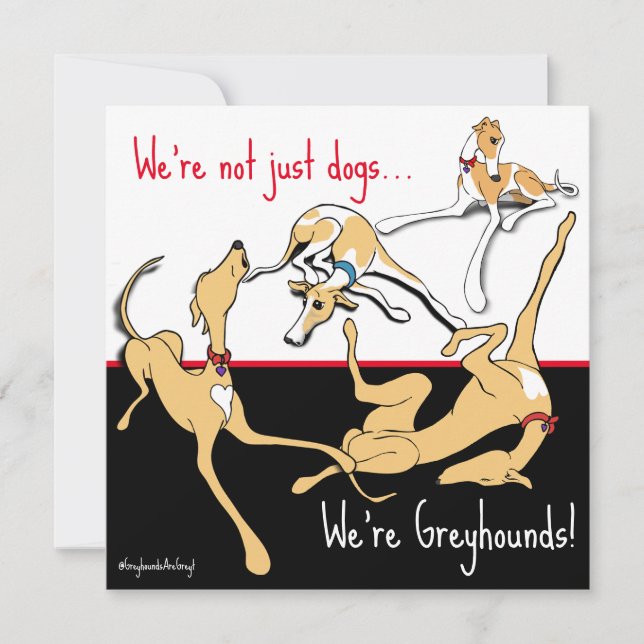 Cartes Pour Fêtes Annuelles Nous sommes Greyhounds ! Thème noir, blanc et roug (Devant)