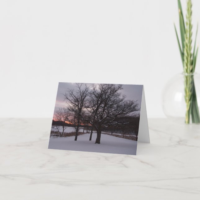 Cartes Pour Fêtes Annuelles Nous trois arbres…. (Devant)