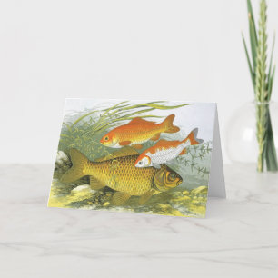 Cartes Pour Fêtes Annuelles Nous Vous Poissons Un Joyeux Noël, Poisson D'Or Vi