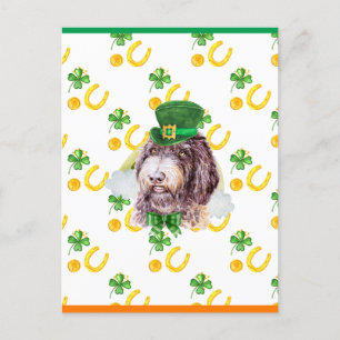 Cartes Pour Fêtes Annuelles Nouveau St. Patricks Day Shamrock Newfypoo