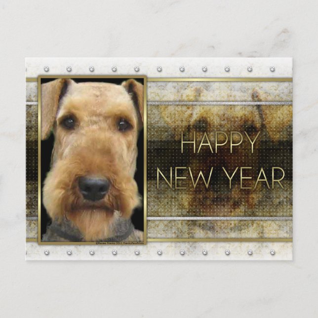 Cartes Pour Fêtes Annuelles Nouvelle Année (Devant)