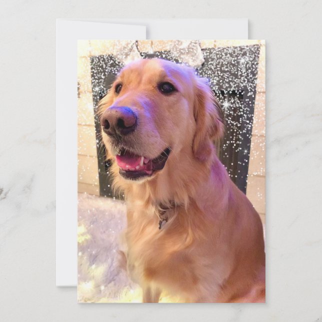 Cartes Pour Fêtes Annuelles Nova Girl's Merry and Bright - Golden Retriever - (Devant)