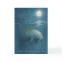 Nuit Silencieuse, Mer Douce – Lamantin Paisible