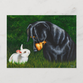 Cartes Pour Fêtes Annuelles Oeil de Pâques à observer - chien et lapin de