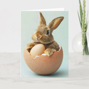 Cartes Pour Fêtes Annuelles Oeuf lapin Drôle Pâques