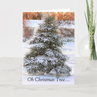 Cartes Pour Fêtes Annuelles Oh arbre de Noël