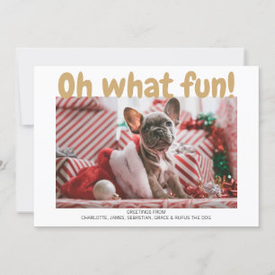 Cartes Pour Fêtes Annuelles Oh What Fun Bold Type Plaid Motif Christmas Card