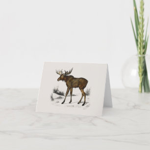 Cartes Pour Fêtes Annuelles Oie