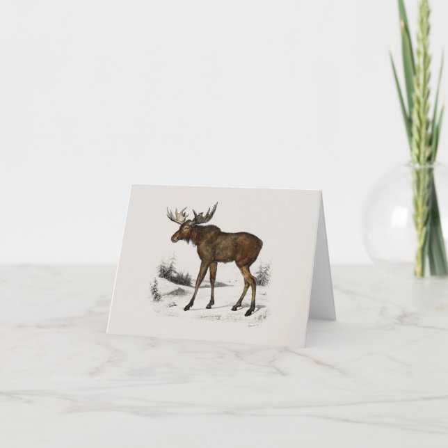 Cartes Pour Fêtes Annuelles Oie (Devant)
