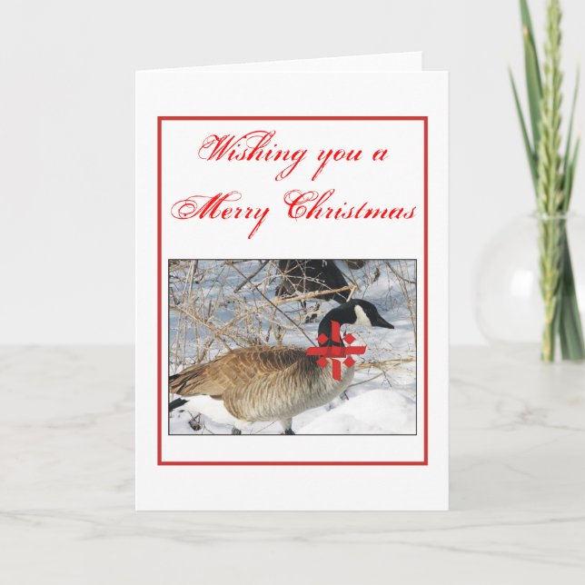 Cartes Pour Fêtes Annuelles Oie de Noël (Devant)