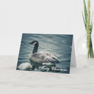Cartes Pour Fêtes Annuelles Oie de vacances