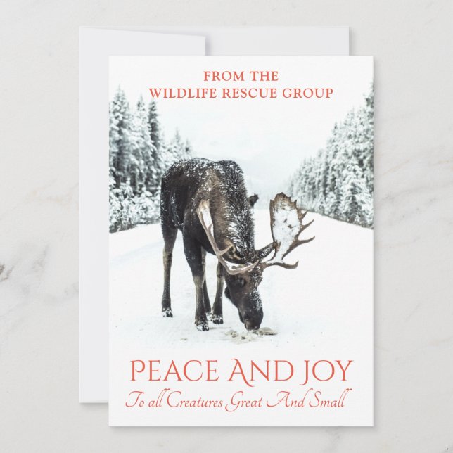 Cartes Pour Fêtes Annuelles Oie En Hiver Secourt Faune De Neige Noël (Devant)