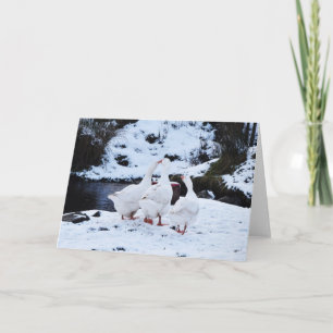 Cartes Pour Fêtes Annuelles Oies en hiver