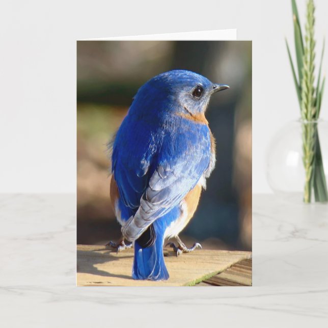 Cartes Pour Fêtes Annuelles Oiseau bleu oriental doux (Devant)