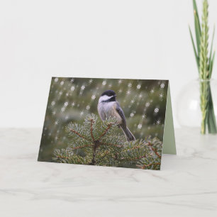 Cartes Pour Fêtes Annuelles Oiseau de Chickadee en flocons de neige de pin