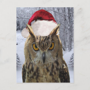 Cartes Pour Fêtes Annuelles Oiseau de Chouette de Noël dans un chapeau de Père