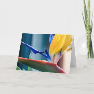 Cartes Pour Fêtes Annuelles Oiseau de la Fleur du Paradis