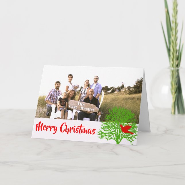 Cartes Pour Fêtes Annuelles Oiseau de Noël - (Devant)