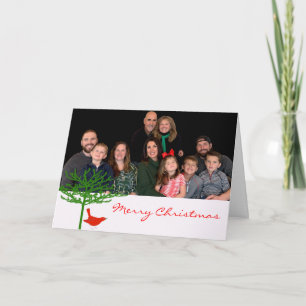 Cartes Pour Fêtes Annuelles Oiseau de Noël - - Customisé