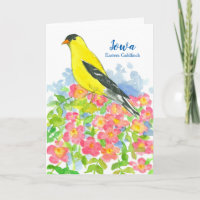 Oiseau d'État de l'Iowa Boucle Rose d'Or de l'Est