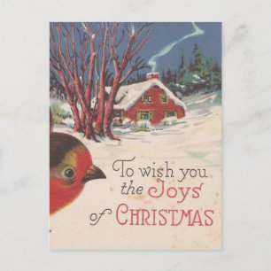 Cartes Pour Fêtes Annuelles Oiseau d'hiver de Noël Vintage