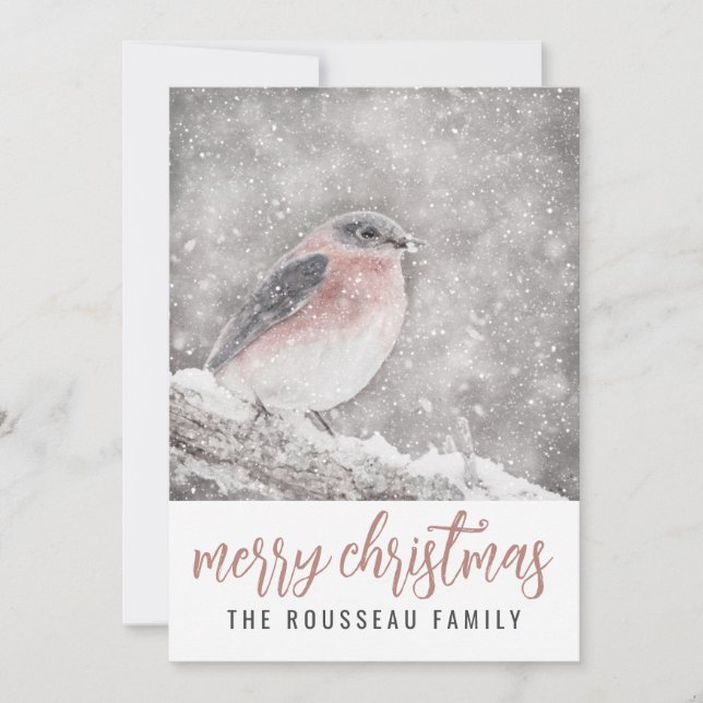 Cartes Pour Fêtes Annuelles Oiseau en hiver Neige Joyeux Noël (Devant)