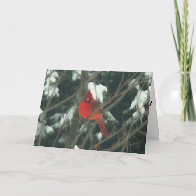 Cartes Pour Fêtes Annuelles Oiseau rouge dans la neige (Devant)
