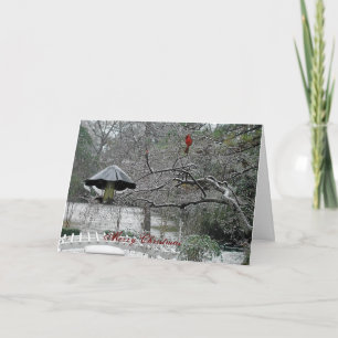 Cartes Pour Fêtes Annuelles oiseaux 5 de neige