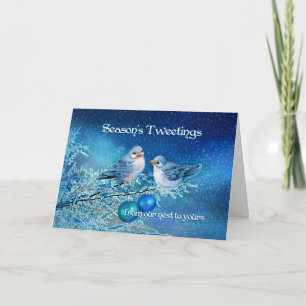 Cartes Pour Fêtes Annuelles Oiseaux bleus de Noël gazouillant dans un arbre de