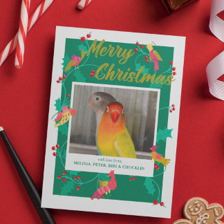 Cartes Pour Fêtes Annuelles Oiseaux d'art populaire, Noël sur mesure avec phot