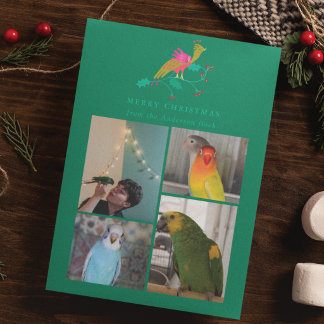 Cartes Pour Fêtes Annuelles Oiseaux d'art populaire Photo Collage