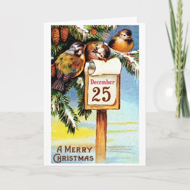 Cartes Pour Fêtes Annuelles Oiseaux de neige de Noël (Devant)