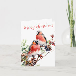 Cartes Pour Fêtes Annuelles Oiseaux de Noël Red Bullfinch Berries & Pine Cônes