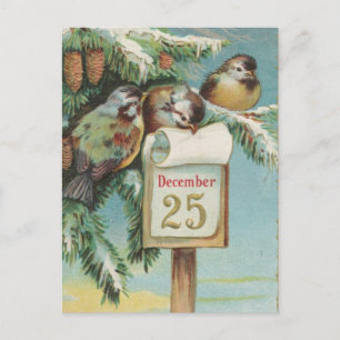 Cartes Pour Fêtes Annuelles Oiseaux le 25 décembre
