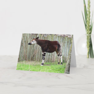 Cartes Pour Fêtes Annuelles Okapi debout à la clôture