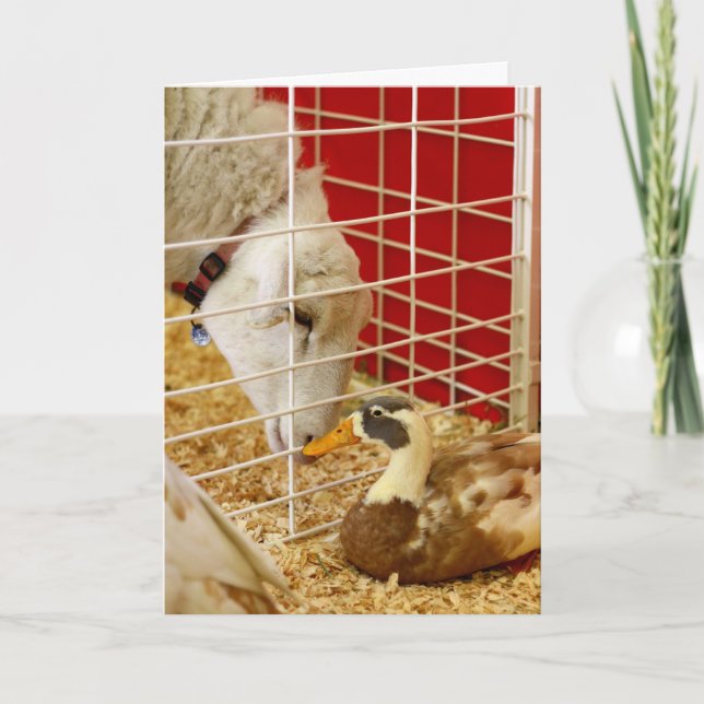 Cartes Pour Fêtes Annuelles On fait une paire bizarre... (Devant)
