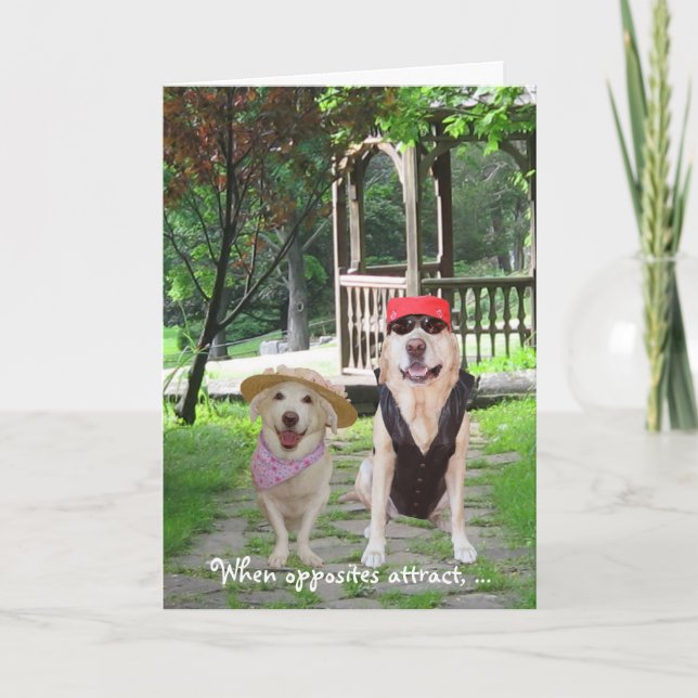 Cartes Pour Fêtes Annuelles Opposites Attract Funny Dogs (Devant)