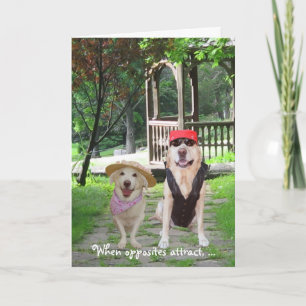 Cartes Pour Fêtes Annuelles Opposites Attract Funny Dogs