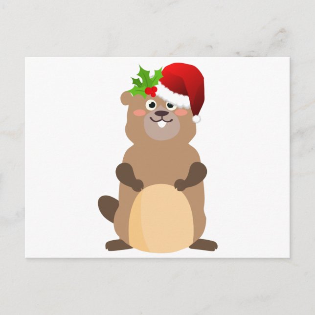 Cartes Pour Fêtes Annuelles Optimiste de Noël du Père Noël (Devant)