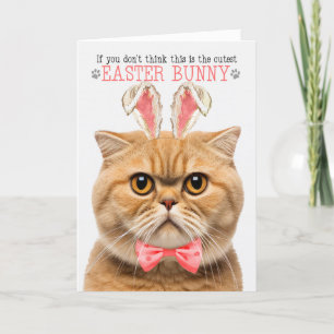 Cartes Pour Fêtes Annuelles Orang Scottish Fold Cutest Pâques Bunny Kitty Puns