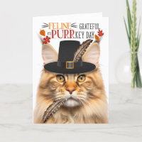 Orange Maine Coon Cat Grateful pour PURRkey Day