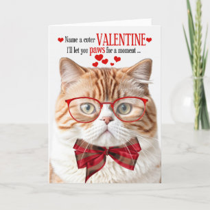 Cartes Pour Fêtes Annuelles Orange Tabby Chat Feline Humour Saint-Valentin