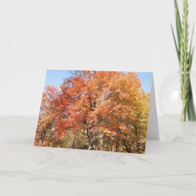 Cartes Pour Fêtes Annuelles Orangers (Devant)