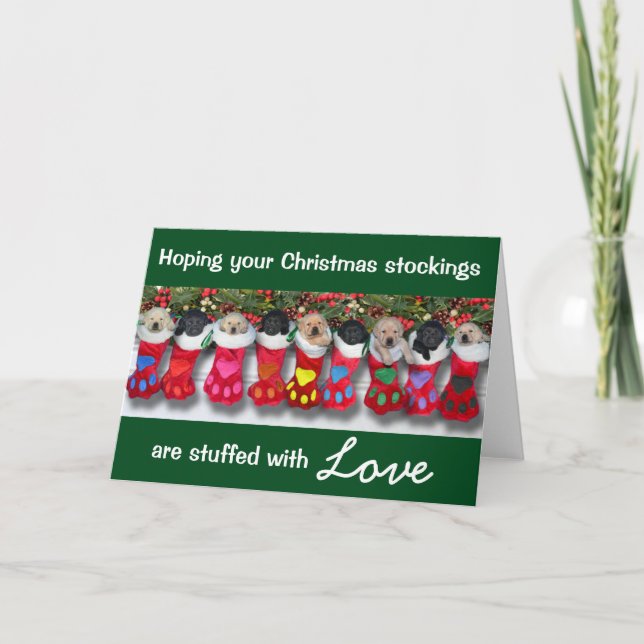 Cartes Pour Fêtes Annuelles Ordures de gratitude de bas de Noël (Devant)