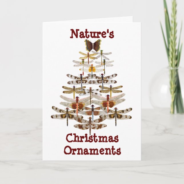 Cartes Pour Fêtes Annuelles Ornements de Noël de la nature (Devant)